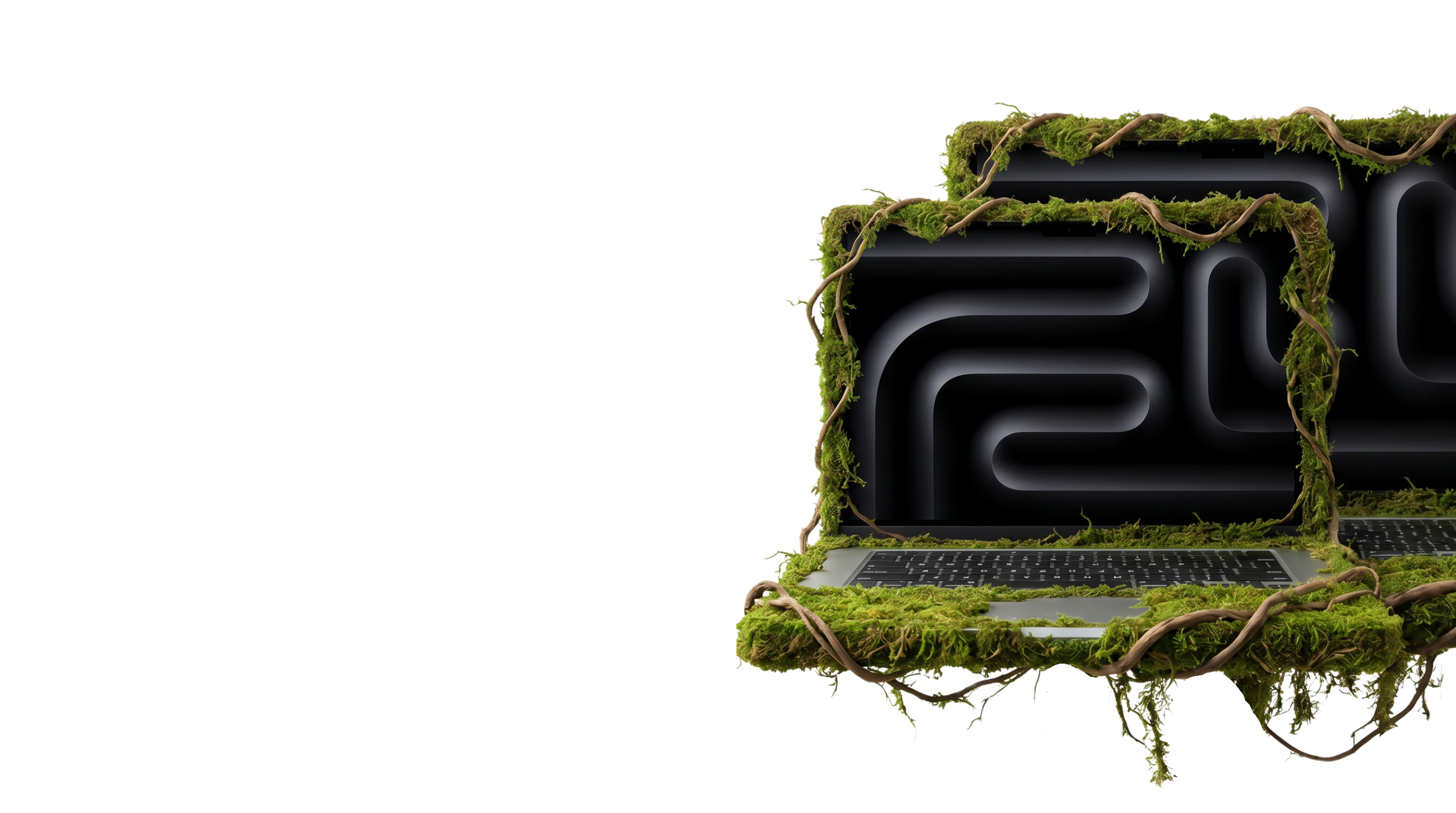 Decorative laptop with moss